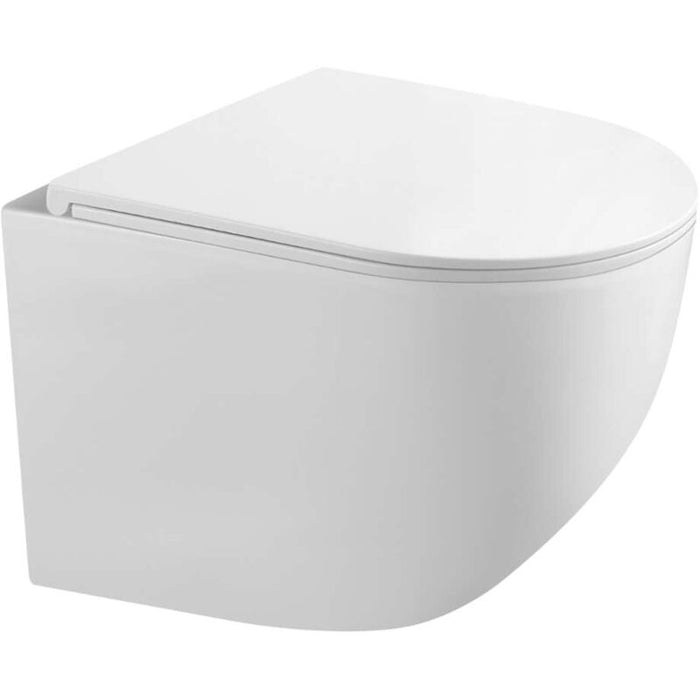 Geberit Duofix - Set Vorwandelement, Gaia-WC mit Softclose-Sitz und Delta01-Betätigungsplatte, Alpinweiß SANI11CA3120